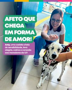 622359887_1319181260253876_6513759081358250566_n