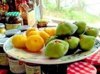 images-46