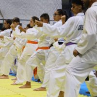 ciase-sumare-2-825x305