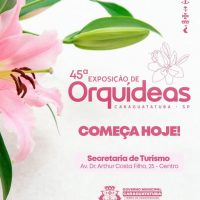 561401575_1231135992391737_2364860214920394189_n