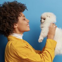 20251105_cachorrinho-768x403