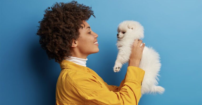 20251105_cachorrinho-768x403