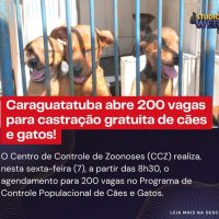 575102423_1146251554377453_6226739894473558064_n