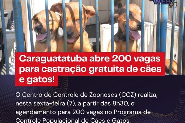 575102423_1146251554377453_6226739894473558064_n