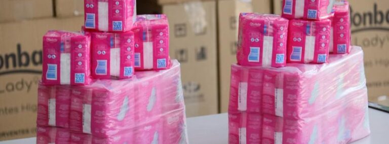 absorventes_2-825x305-1-768x284