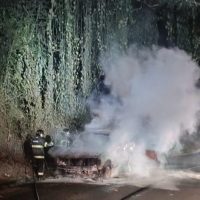 imagem-do-whatsapp-de-2025-11-07-as-08-10-26_79bd94e8