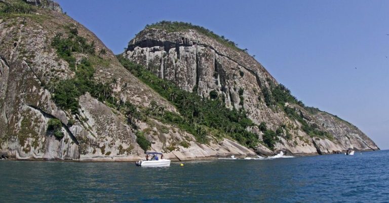 whatsapp-image-2020-03-16-at-10-50-01-768x512