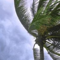 whatsapp-image-2024-10-08-at-16-41-43