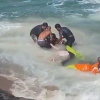 whatsapp-image-2025-11-03-at-09-29-51-768x564