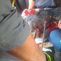 whatsapp-image-2025-11-20-at-14-12-27-768x576