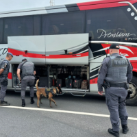 litoral-tamoios-operacao-oibus-irregular-768x538