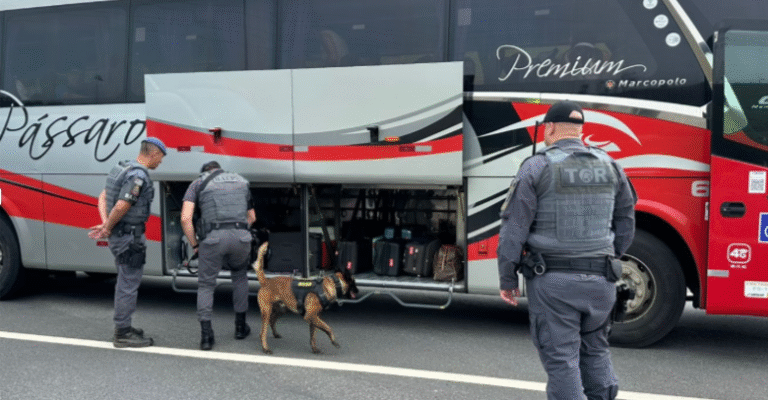 litoral-tamoios-operacao-oibus-irregular-768x538