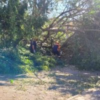 operacao-rescaldo-1-1536x691-dony-machado-768x346