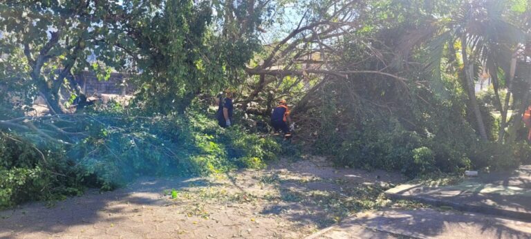 operacao-rescaldo-1-1536x691-dony-machado-768x346