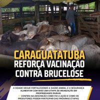 594338540_1167861565549785_2142467979768493670_n