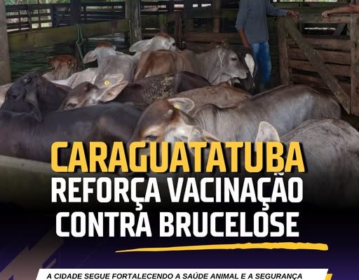 594338540_1167861565549785_2142467979768493670_n