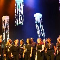 agua-viva-coral_foto-jc-curtis-1-825x305