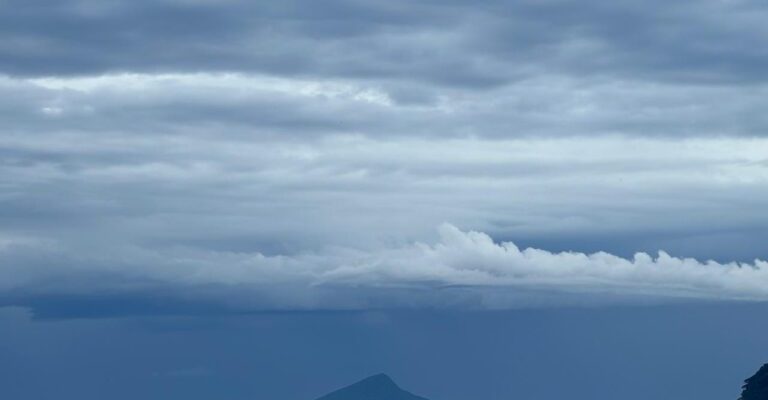 whatsapp-image-2026-01-28-at-17-33-09-768x576