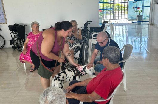 d38c8428-f382-4fbf-a8ce-5edcc7f8f93e-530x350-1