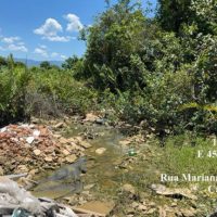 whatsapp-image-2026-03-06-at-14-09-06-1-768x432-1