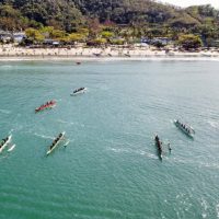 202647161444416701_g