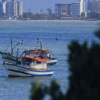 whatsapp-image-2025-03-20-at-11-09-34-768x495