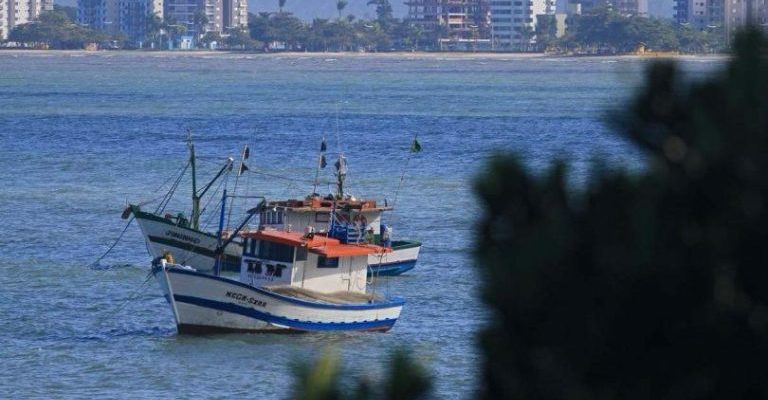 whatsapp-image-2025-03-20-at-11-09-34-768x495