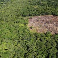 whatsapp-image-2026-03-30-at-11-02-16-768x497