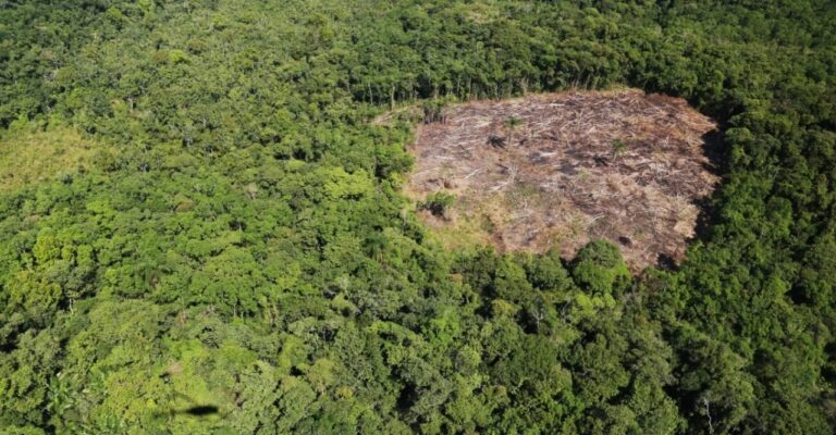 whatsapp-image-2026-03-30-at-11-02-16-768x497