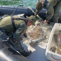 ebfa08fa-f4f8-4fcc-977f-2db5ca7a9390-768x578