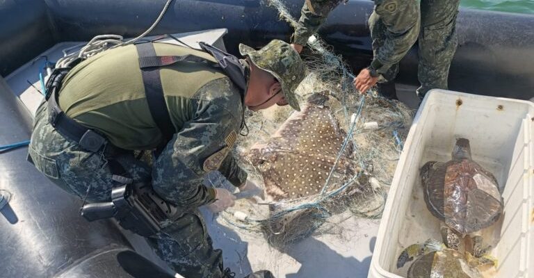 ebfa08fa-f4f8-4fcc-977f-2db5ca7a9390-768x578