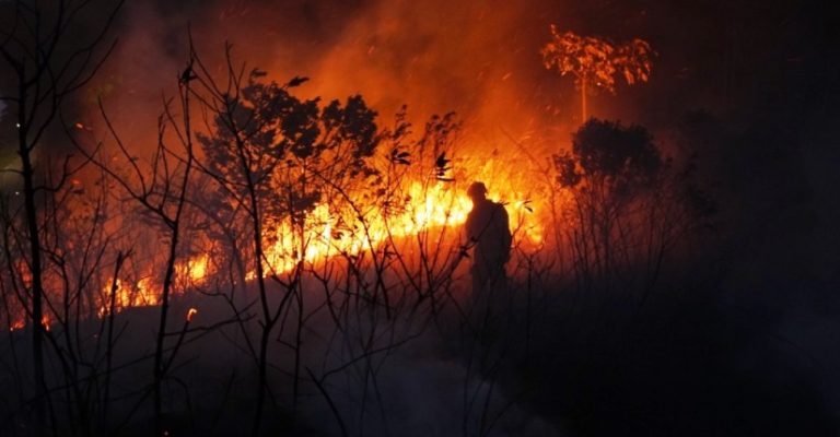queimadas_caragua-768x432