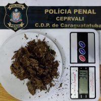 03-05-26_apreensao-cdp-de-caraguatuba_balanca1-768x753